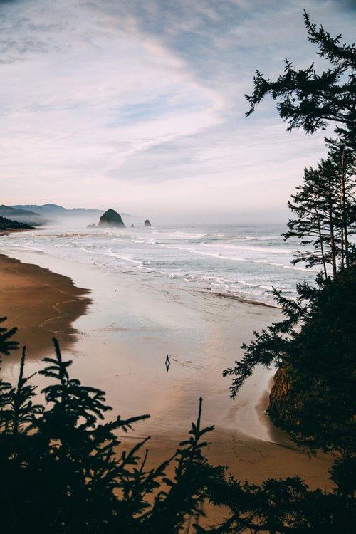 ART.COM Wall Photographic Print Morning Walk at Cannon Beach, Peaceful Oregon Coast by Vincent James, 24" x 36"