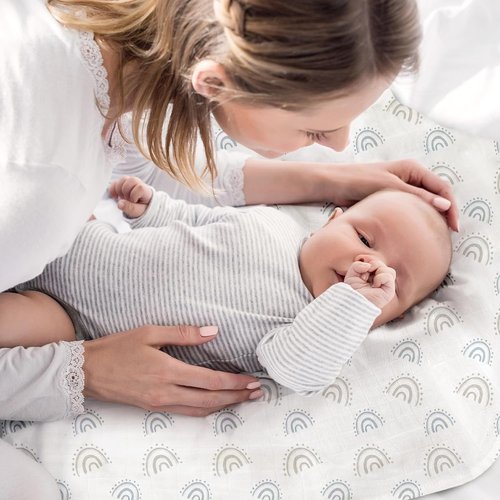 **Regine Switzerland Muslin Baby Burp Cloths - Large 27 x 27 Inches, 6 Pack in Graceful Colors**