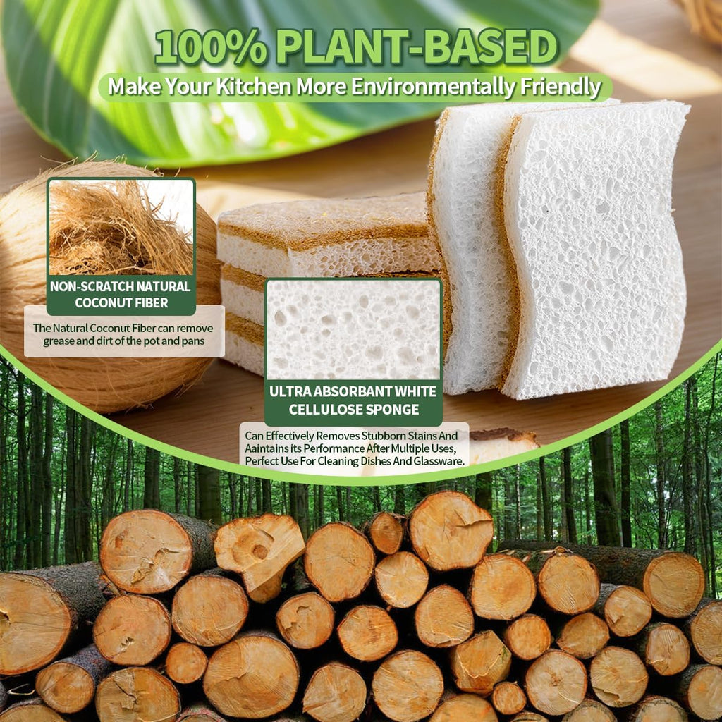 Skiennix Natural Dish Sponges - Biodegradable Plant-Based Cellulose with Coconut Scrubber | Pack of 12