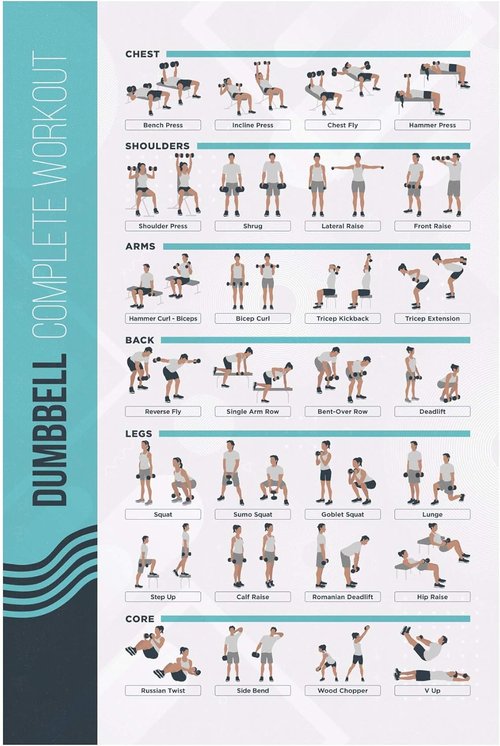 FitMate Dumbbell Workout Poster - Free Weights Routine Guide for Home Gym Decor (16.5 x 25 Inch)