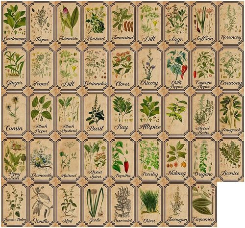Herb and Spice Apothecary Labels - Vintage Sticker Set for Jars and Bottles | 24 Unique Designs