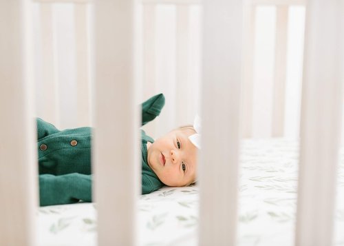 Copper Pearl Premium Knit Baby Crib Sheets for Boys and Girls Breathable and Soft, Fitted Crib Sheets for Standard Baby Mattresses, Fern
