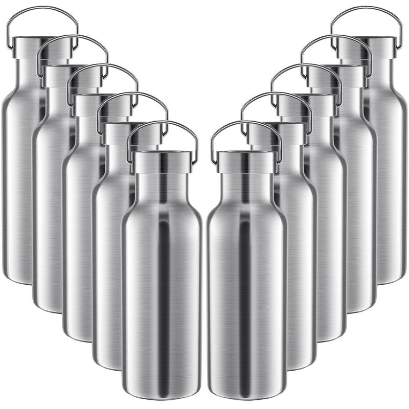 10 Pack Reusable Stainless Steel Water Bottle Bulk Double Wall Insulated Sports Water Bottle with Handle and Vacuum Seal Leakproof Lid for Sports Cyclists Hiking Gym Camping Gift(Silver,17 oz)