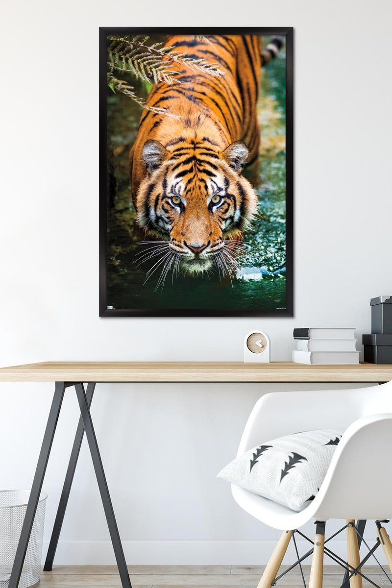 Trends International Tiger - Water Wall Poster, 22.375" x 34", Black Framed Version