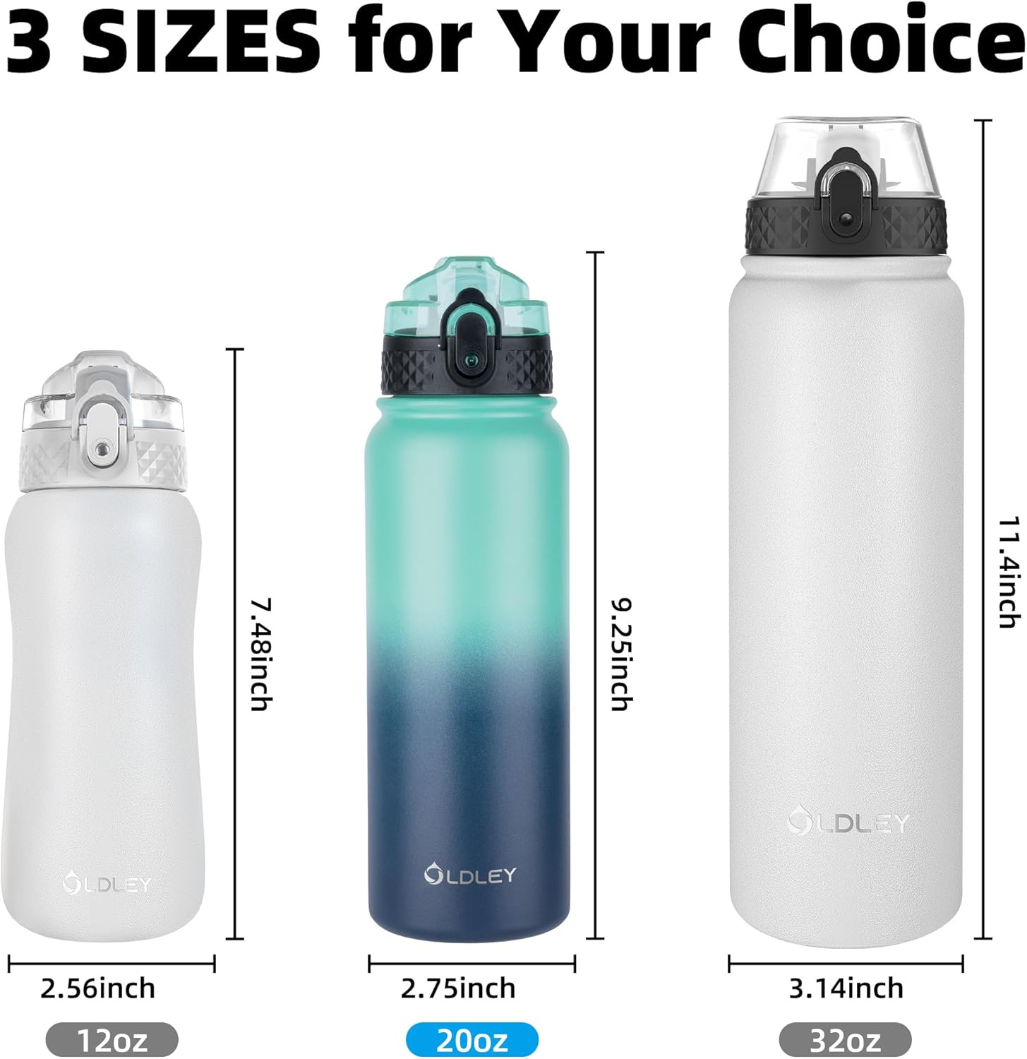 Oldley Insulated Water Bottle - 20oz Stainless Steel with 3 Lids, Fruit Strainer & Leak-Proof Design