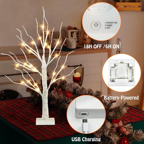 EAMBRITE Lighted Birch Tree - 24 LED Battery Operated Mini Decor | 2FT White Tabletop Easter & Christmas Decor