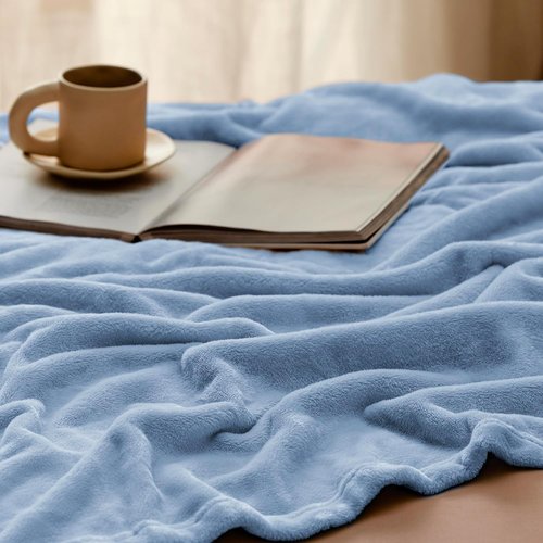 Bedsure Fleece Throw Blanket - Lightweight Plush Cozy Soft Blanket for Couch, Light Blue, 50x70 Inches