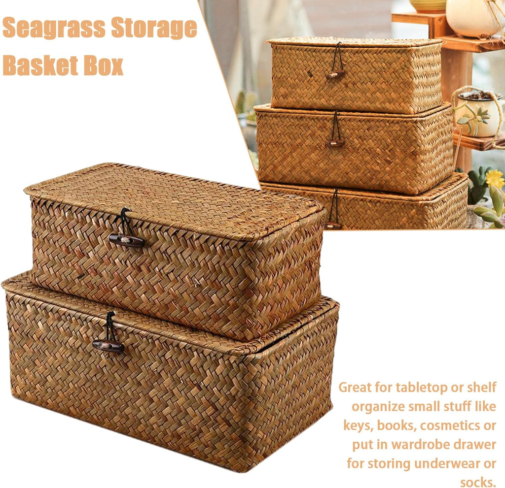 Skiennix Storage Baskets - 2 PCS Woven Seagrass Baskets with Lid for Stylish Organization | 10x6x4 & 9x5x3 Inches