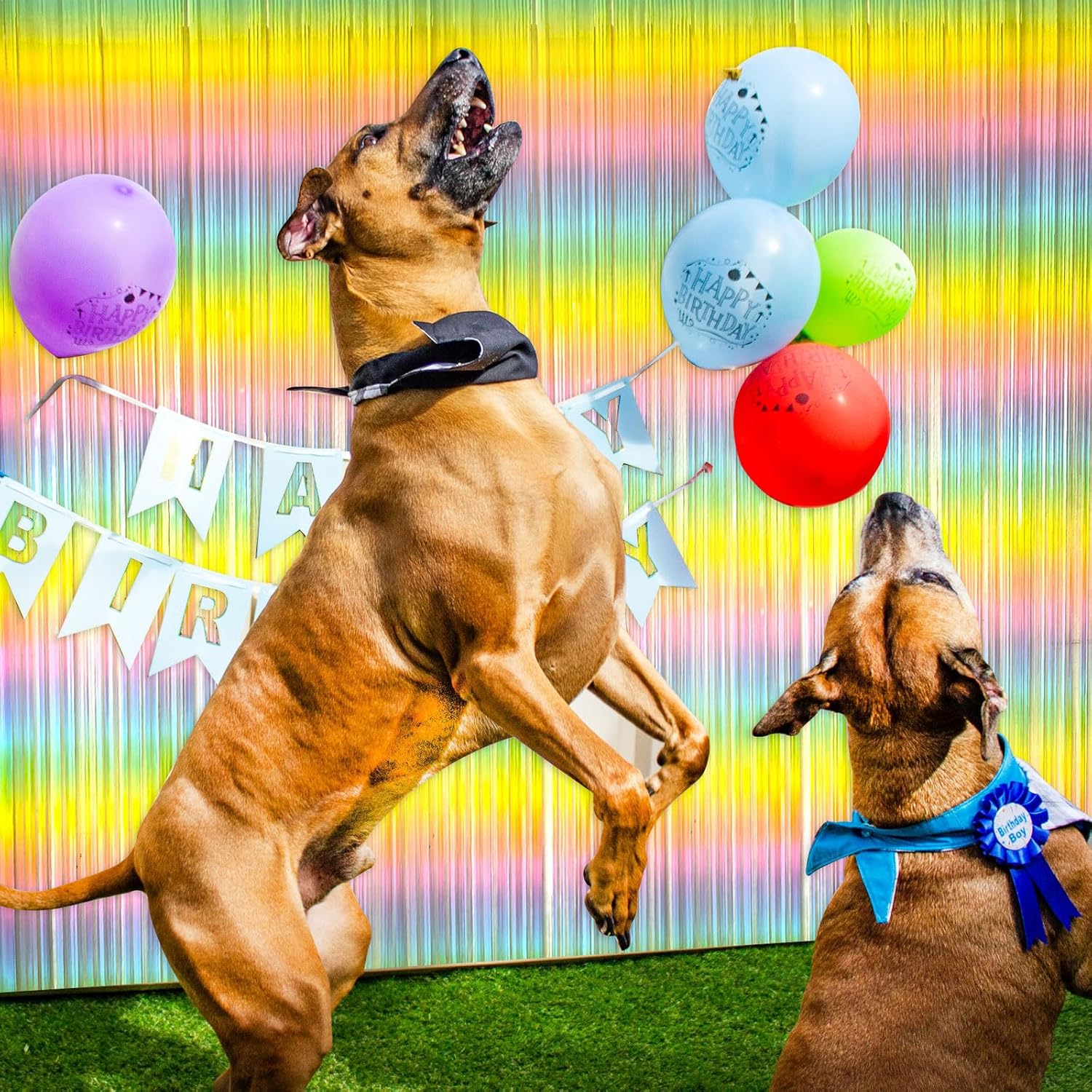 Pastel Rainbow Foil Fringe Curtain - Vibrant Party Backdrop Tinsel Streamers for Birthday Celebrations