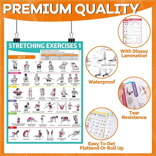 **Gisgfim 8PCS Workout Posters - Full Body Exercise Charts for Home Gym | Laminated Dumbbell, Bodyweight & Kettlebell Training**
