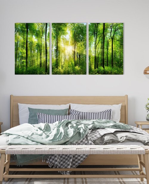 HLJ ART Forest Wall Art: 3 Panel Green Tree Pictures Canvas Wall Art, 20x30 Inch, Sunrise Prints Scenery Wall Art Hanging Wall Mural Nature Art Wall Decor for Bedroom, Living Room, Office
