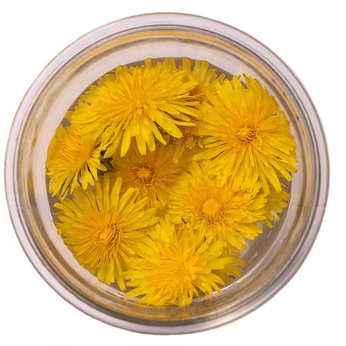 Jovvily Dandelion Leaves - 1 lb - Cut & Sifted - Herbal Tea - Cuisine Garnish