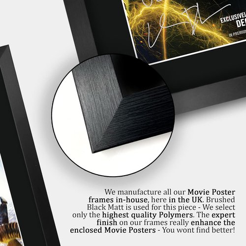 HWC Trading Spider-Man Movie Poster - Tom Holland Signed Framed Print | 16" x 12" Autographed Display