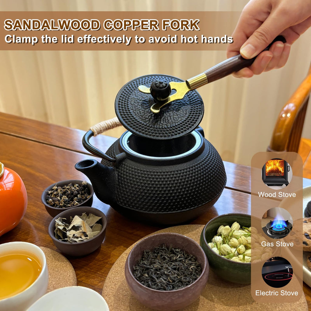 Japanese Cast Iron Teapot,Tea Kettle with Stainless Steel Infuser,For Wood/Campfire/Gas Stove Top (30 oz / 900 ml,Black)