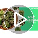 6-Piece Small Artificial Artichokes, Realistic Faux Vegetable Bowl Fillers