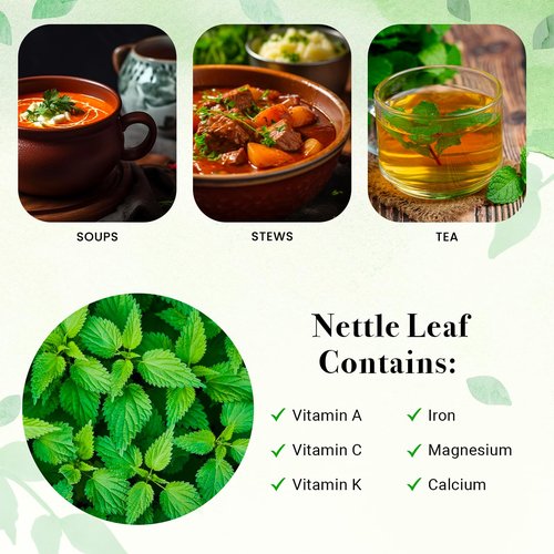 Stinging Nettle Leaves Dried 1 Lb | Cut and Sifted | Loose Nettle Leaf Herb Bulk | Non- Gmo, Ethically sourced | By Yogi's Gift®