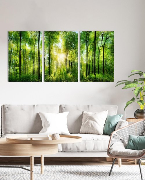 HLJ ART Forest Wall Art: 3 Panel Green Tree Pictures Canvas Wall Art, 20x30 Inch, Sunrise Prints Scenery Wall Art Hanging Wall Mural Nature Art Wall Decor for Bedroom, Living Room, Office