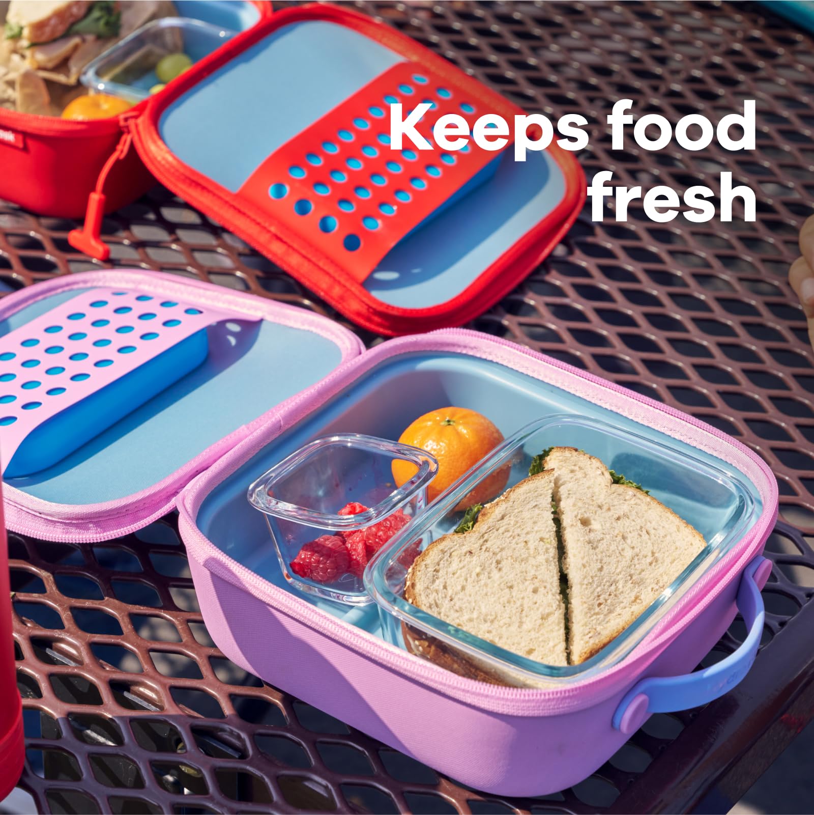 Hydro Flask Kids Small Insulated Lunch Box Anemone