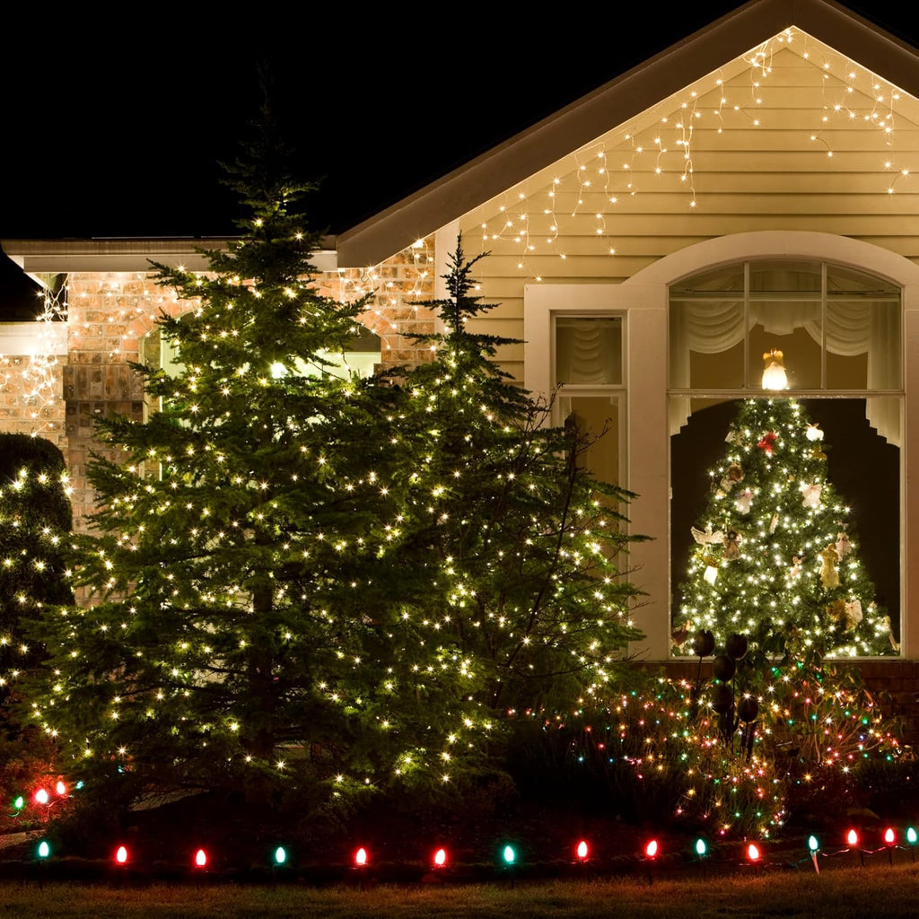 Skiennix Mini String Lights - 100 Clear Incandescent Bulbs for Indoor Christmas & Party Decor
