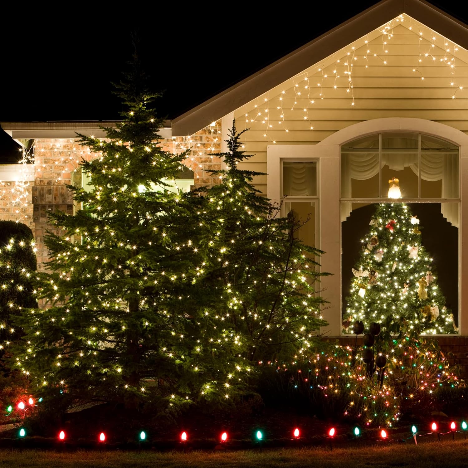 Skiennix Mini String Lights - 100 Clear Incandescent Bulbs for Indoor Christmas & Party Decor