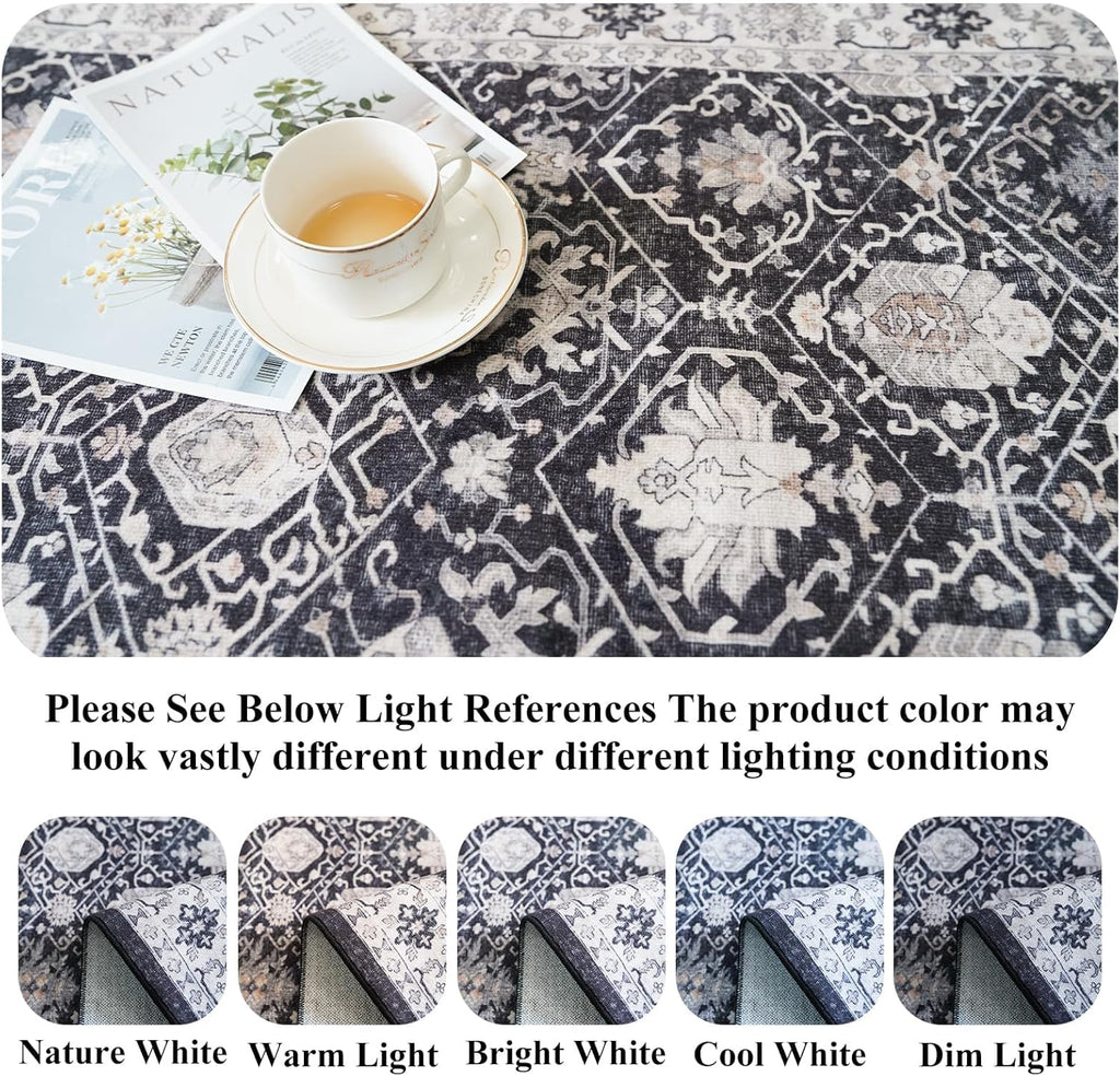 Skiennix Washable 2x3 Entryway Area Rug - Vintage Soft Non-Slip Backing, Water-Resistant Carpet (Black)