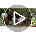 Bornerwhite Champagne Brown Satin Christmas Ornaments Set of 15 - 3.15 Inch Holiday Tree Decorations