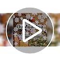 3D White Glitter Hanging Snowflake Ornaments & Garland Set (24 Pcs)