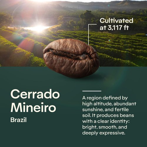 Specialty Coffee Daily 8.8 oz – Arabica Roasted Ground in Brazil – Smooth, Comforting Flavor with Notes of Chocolate, Caramel and Nuts – Medium-Dark Roast, Carefully Harvested – Brazilian Coffee King