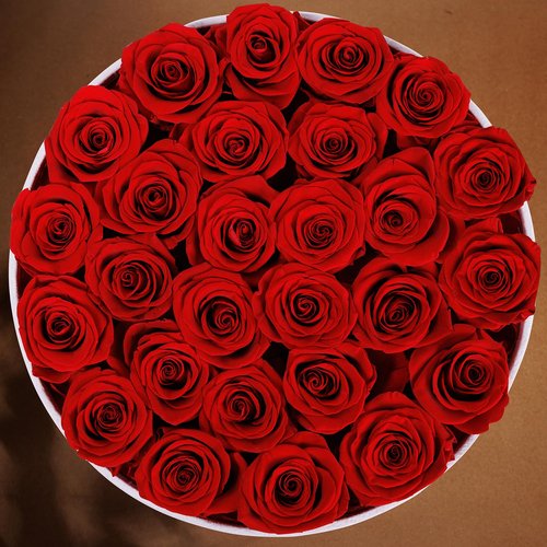 Prifroti 27 Flowers in a Luxury Suede Box, Birthday Gifts for Women, Preserved Flowers, Mothers Day Roses Gift for Mom, Red