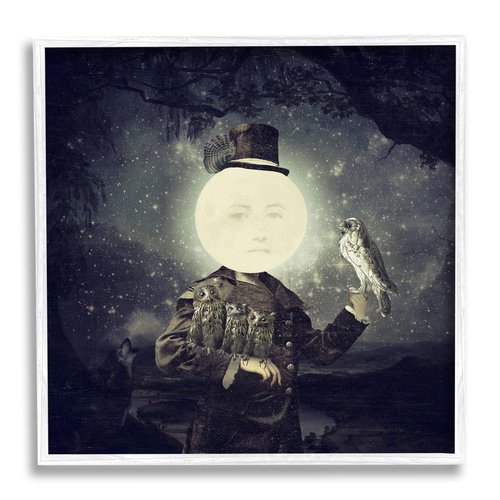 Stupell Industries Starry Night Sky Moon Person Bird Botanical Border, Design by Paula Belle Flores
