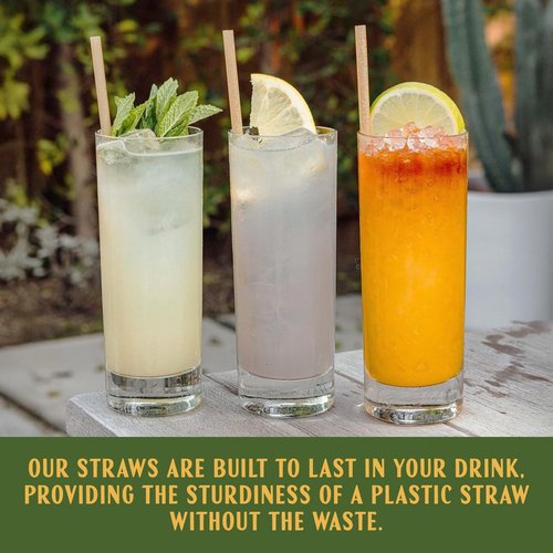 Casa Plantar Bulk | Cocktail 6" Agave Straws | 2000 count | Sustainable & Compostable Drinking Straws made from Upcycled Agave Plant Fiber | Long-Lasting, Durable Drinking Straws that Won't Get Soggy