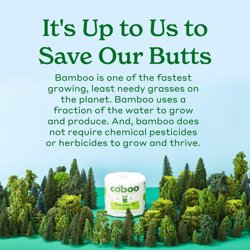 Caboo Disposable Bamboo Paper Plates, 125 Pack of 10 Inch Sturdy Biodegradable Plates, Compostable Plate, Microwave Safe Party Plate, Eco Friendly Alternative to Plastic