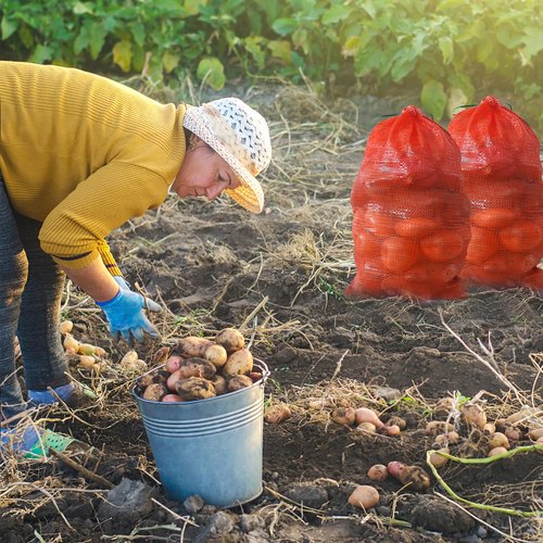 50 Pack 36lb Mesh Onion Bags Reusable Produce Storage Fruit Vegetable Storage Bags with Drawstring for Onions Potatoes Citrus Crawfish 15.6 x 26 Inches