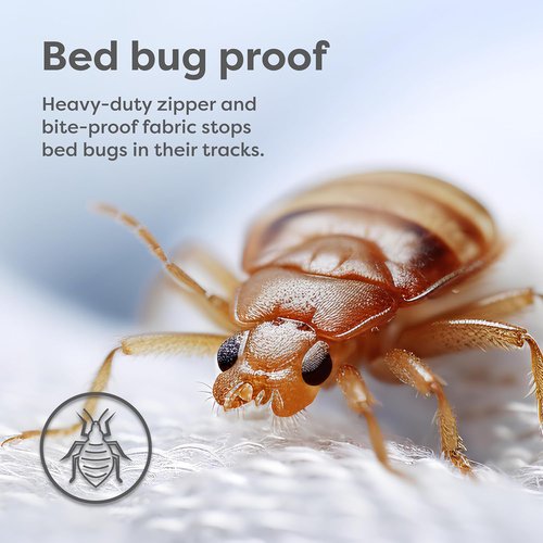 HOSPITOLOGY PRODUCTS Pillow Encasement | Hypoallergenic Bed Bug & Dust Mite Proof - Standard Size, Set of 2