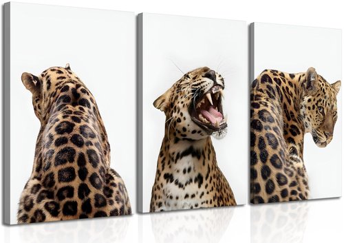 3 Pcs Leopard Roaring Canvas Wall Art Jungle Wild Animal Portrait Paintings Feminism Stylish Cheetah Aesthetic Poster Prints for Women Bedroom Living Room Bathroom Decorations (16x24in canvas)