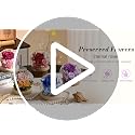 Preserved Purple Rose in Glass Dome with LED Lights, Eternal Flower Gift