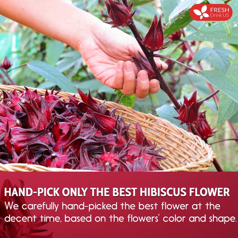 FreshDrinkUS, Premium 16oz Hibiscus Flower Powder, 100% Natural and Pure from Hibiscus Flowers, Natural Food Coloring, No Additives, No Gluten, No Sugar, Vegan