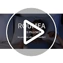 ROUMEA Queen Size Bed Pillows Set of 2 - Soft Down Alternative Hotel Pillows