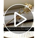 24K Gold Dipped Real Rose with Glass Vase and Gift Box