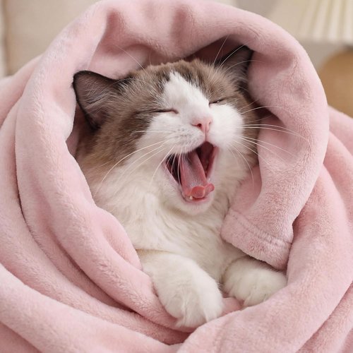 Bedsure GentleSoft Fleece Blanket - Cozy Lightweight Plush Full Size Pink Microfiber, 84x90 Inches