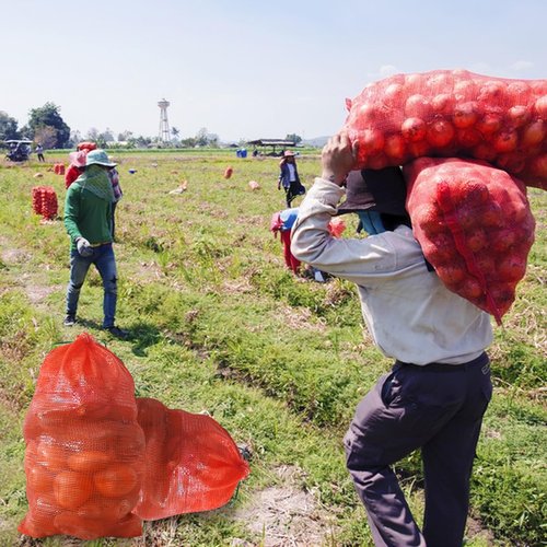 50 Pack 36lb Mesh Onion Bags Reusable Produce Storage Fruit Vegetable Storage Bags with Drawstring for Onions Potatoes Citrus Crawfish 15.6 x 26 Inches