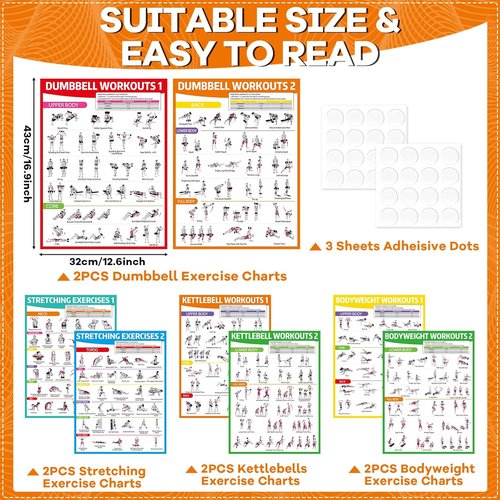 **Gisgfim 8PCS Workout Posters - Full Body Exercise Charts for Home Gym | Laminated Dumbbell, Bodyweight & Kettlebell Training**