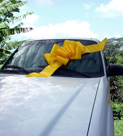 Big Yellow Car Bow Ribbon - 25" Wide, Fully Assembled Gift Decoration for Any Occasion