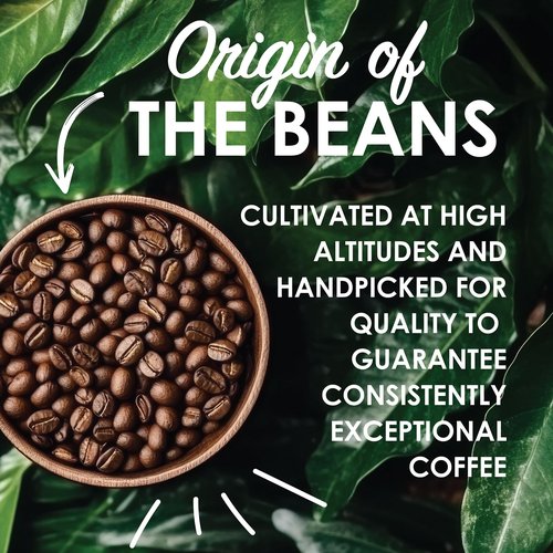 Magnum Exotics Coffee, Blue Mountain Blend - Light-Medium Roast, Whole Bean, Made from 100% Arabica Beans, Rich & Smooth Flavor, Fresh Roast - Blue Mountain Blend, 1 Lb (Pack of 1)