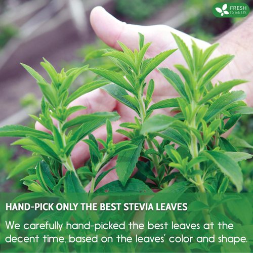 FreshDrinkUS, Premium 500+ Natural Stevia Leaves, Whole Dried Leaves, 100% Pure Stevia Dried Leaves, Zero Calorie Sweetener, No Additives, No Caffeine, Vegan