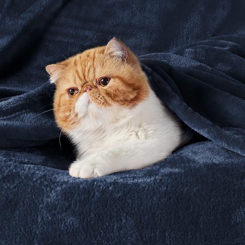 Bedsure GentleSoft Fleece Throw Blanket - XL Navy Plush 300GSM Cozy Blanket for Bed, Sofa, Travel | 50x70 Inches