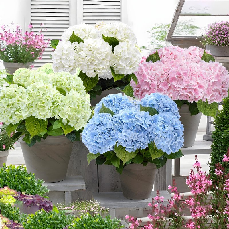 Waipfaru 21" Real Touch Green Hydrangea Artificial Flowers with Long Stem & Leaves, Full Latex Faux Hydrangea Flowers for Home Decor Party Floral Arrangements Wedding Bouquets Centerpieces, 5Pcs