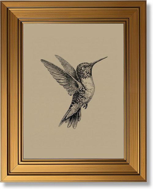 MDHFJEAW Vintage Gold Framed Hummingbird Wall Art | Retro Black and White Canvas Print, 9x11 In