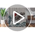 Funny Cat Riding Dinosaur Shower Curtain Waterproof Polyester 72x72 Inch