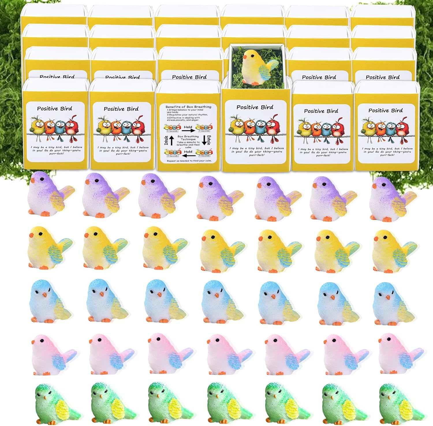 Skiennix Positive Bird Gifts - 50 Set Employee Appreciation Ornaments with Cheer Up Cards | Perfect for Coworkers & Teachers